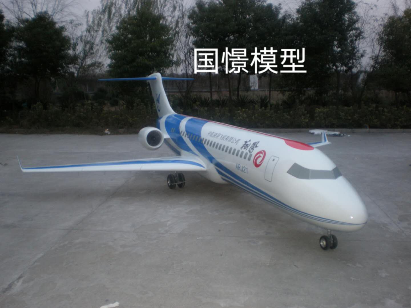响水县飞机模型