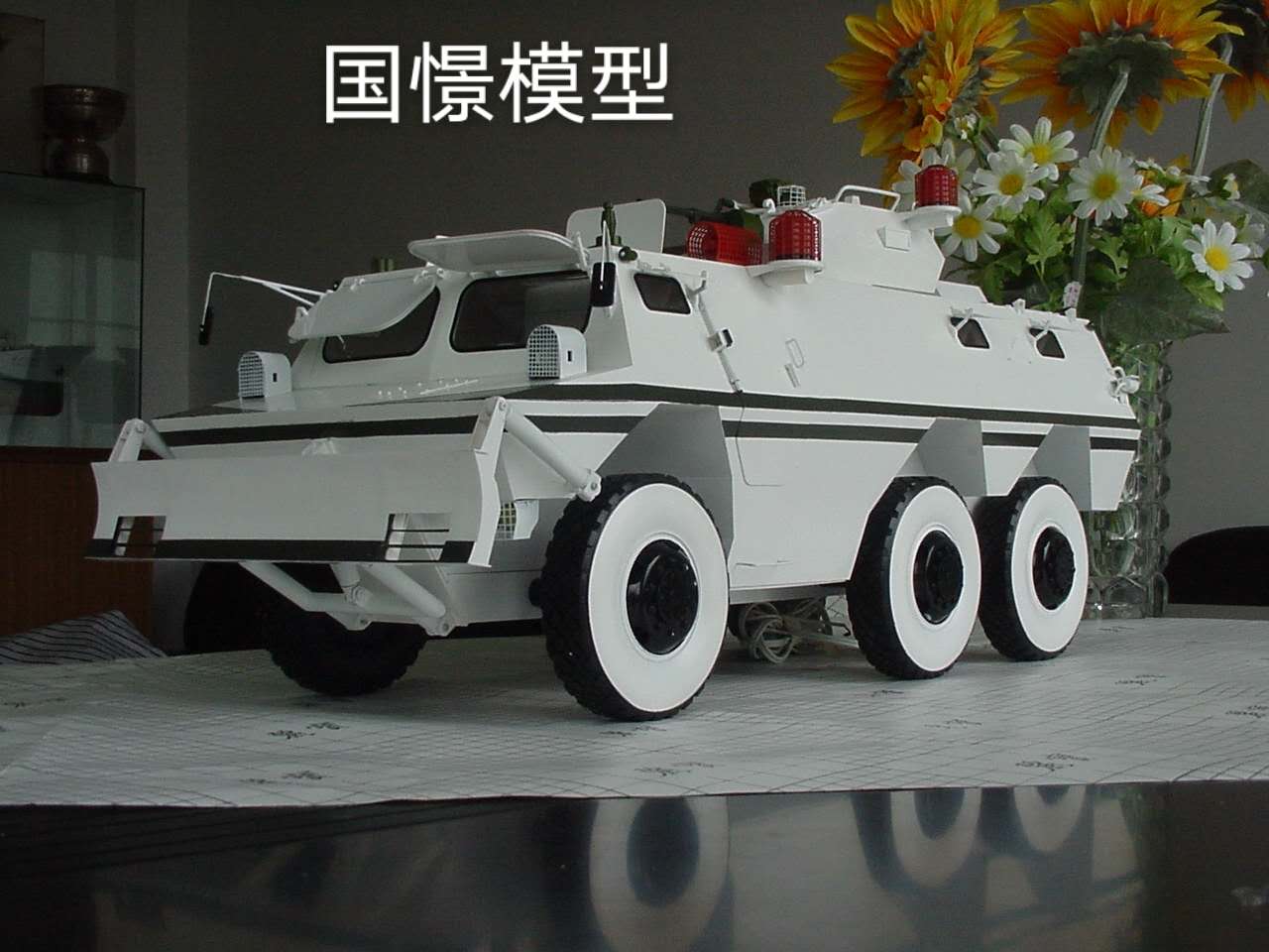 响水县军事模型