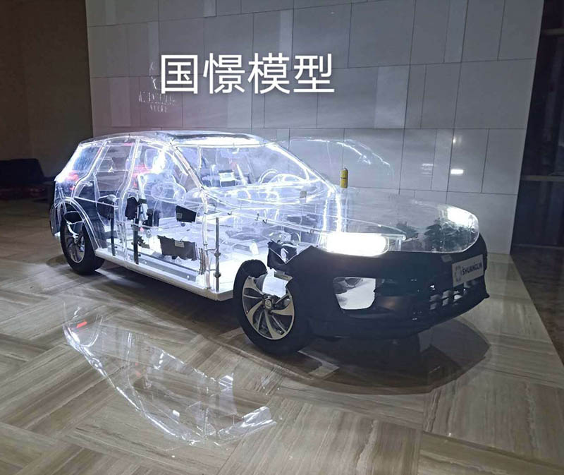 响水县透明车模型